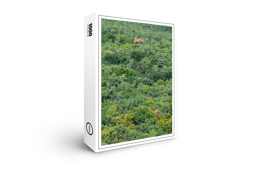 Raxxa Premium Puzzle Der Erste Bunte Baum Im Herbst Raxxa