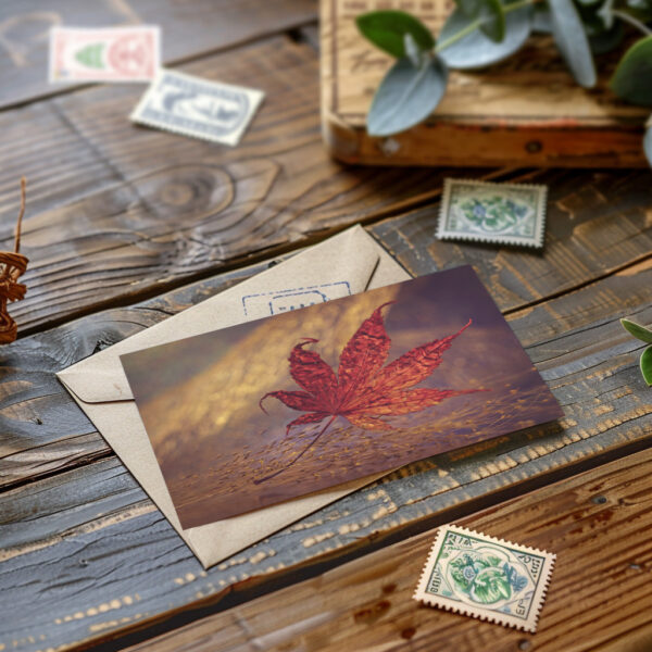 raxxa Postkarte: Herbstblatt