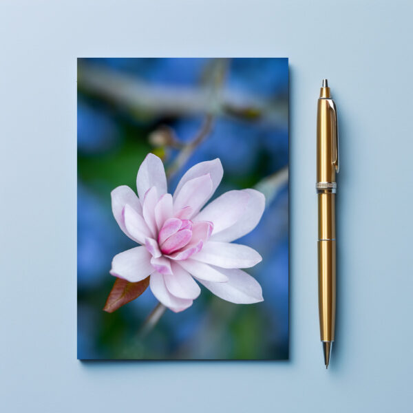 raxxa Postkarte: Magnolia