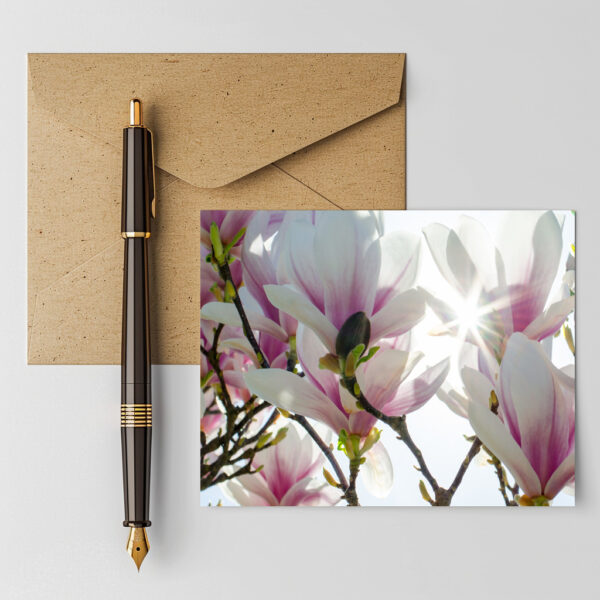 raxxa Postkarte: Magnolien