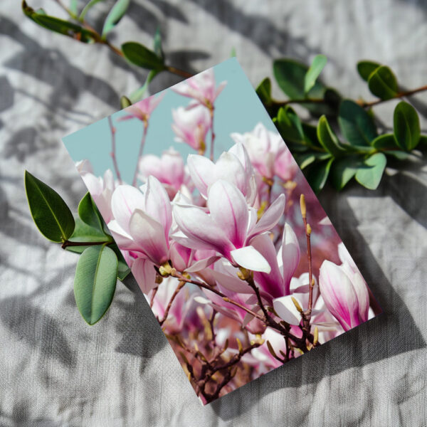 raxxa Postkarte: Tulpenbaum