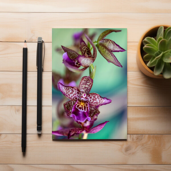 raxxa Postcard: Bllra Orchid Marfitch Howard's Dream