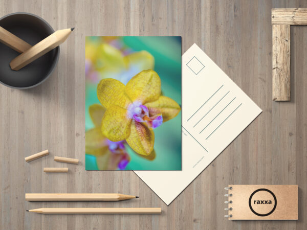 raxxa Postkarte: Phalaenopsis-ks-orange-rainbow