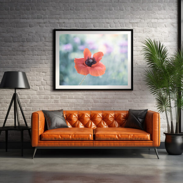 Poster: Roter Mohn