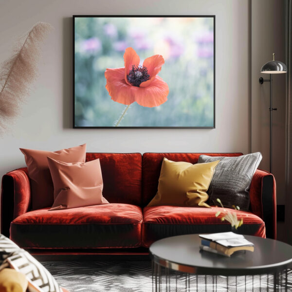 Poster: Roter Mohn – Bild 2