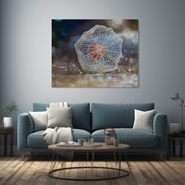 Poster: Transparente Physalis mit stimmungsvollen Bokeh - immagine 2