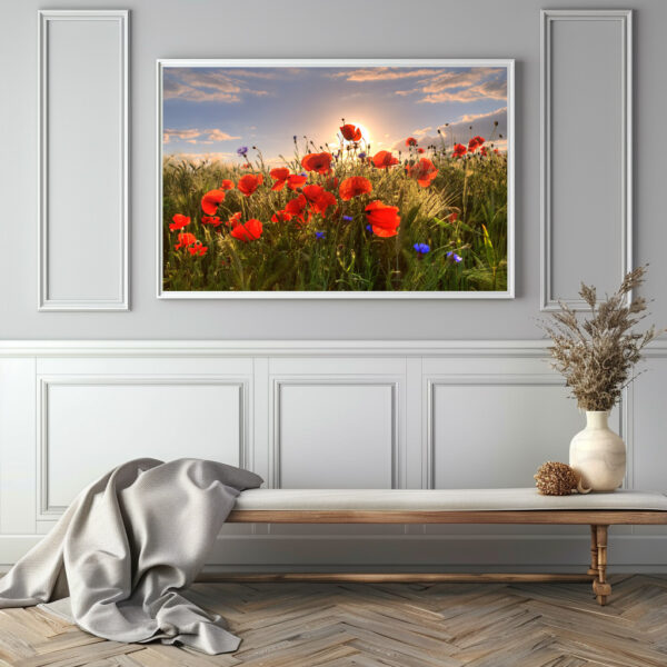 Poster: Mohn im Licht - immagine 3