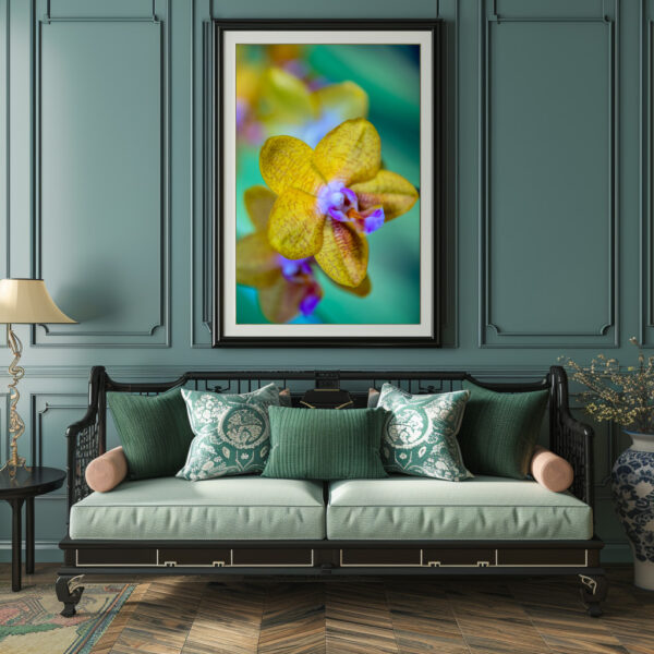 Poster: Phalaenopsis-ks-orange-rainbow – Image 2