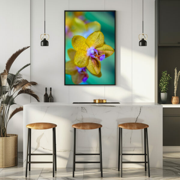 Poster: Phalaenopsis-ks-orange-rainbow – Image 3