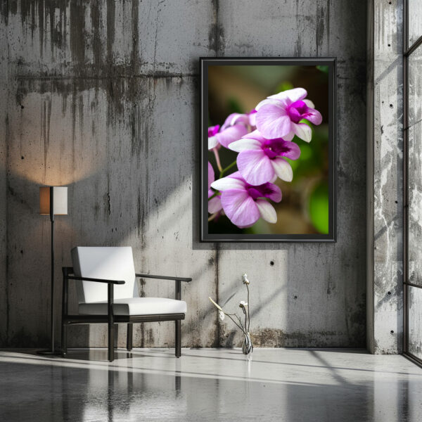 Poster: Dendrobium phalaenopsis – Image 2