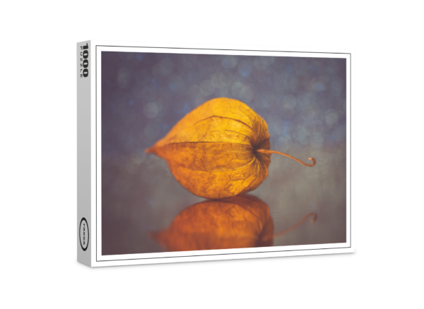 raxxa Premium-Puzzle: Lampionfrucht