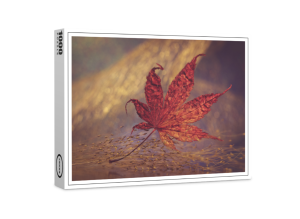 raxxa premium puzzle: Hoja de otoño