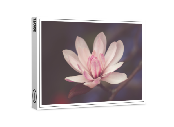 raxxa Premium-Puzzle: Magnolienblüte