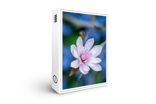 raxxa Premium-Puzzle: Magnolia