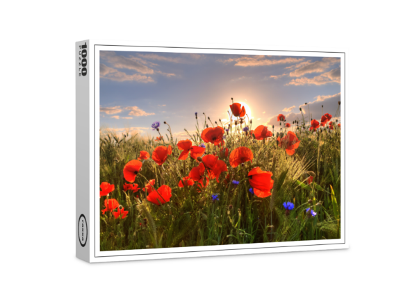 raxxa Premium-Puzzle: Mohn im Licht