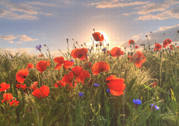 raxxa Premium-Puzzle: Mohn im Licht - Image 2