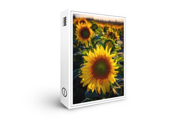 raxxa Premium-Puzzle: Sommerblumen