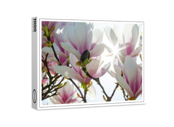 raxxa Premium-Puzzle: Magnolien