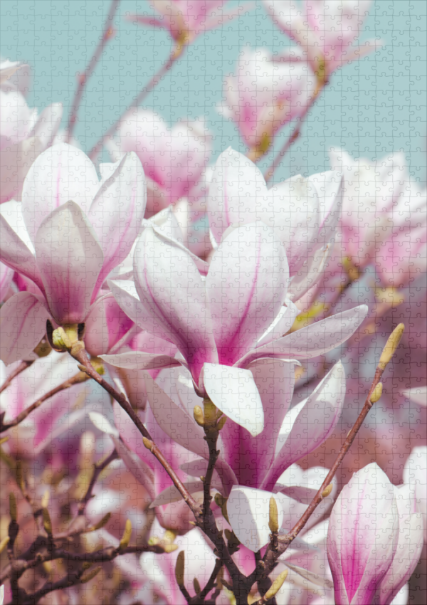 raxxa Premium-Puzzle: Tulpenbaum – Bild 2