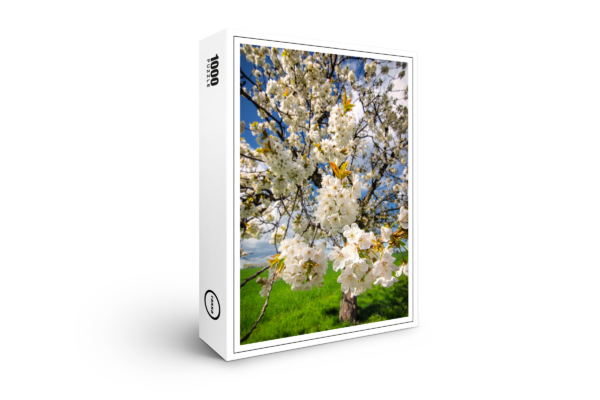 puzzle premium di raxxa: fiori di primavera