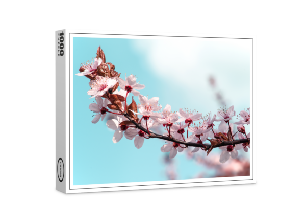 puzzle premium di raxxa: Primavera