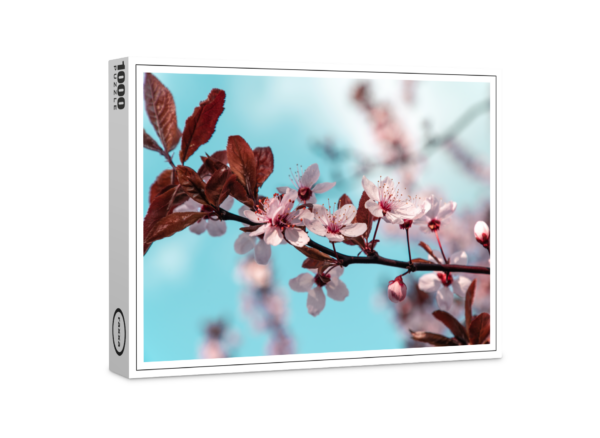 puzzle premium di raxxa: Blood Plum